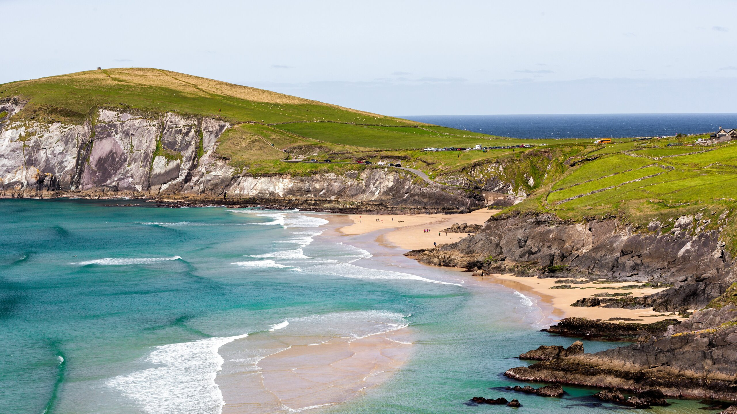 dingle