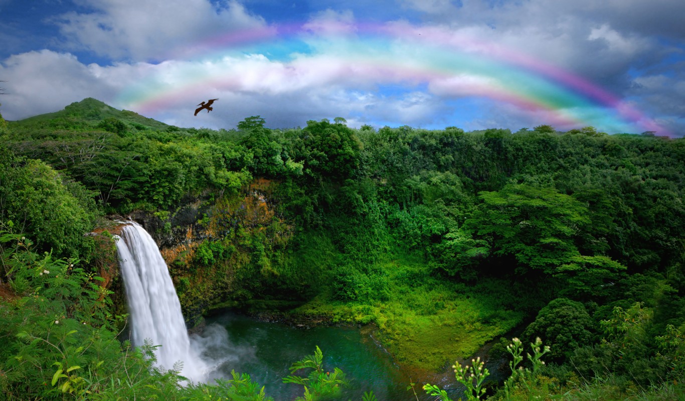 Waterfall in Kauai With Rainbow and Bird Overhead
