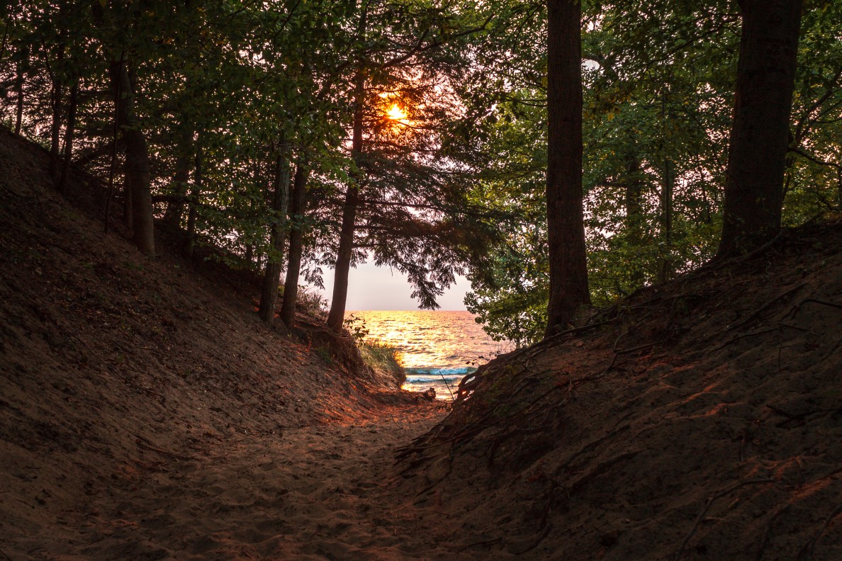 Sandy dune path through tall pine trees opening to a sunset view over a Great Lakes shoreline with golden light on the water