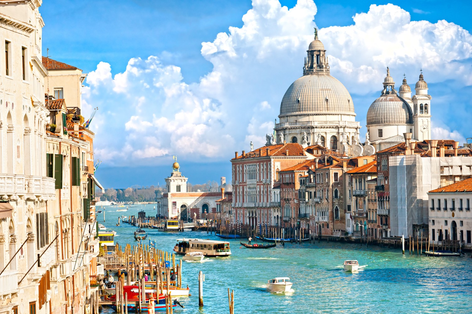 Venice, view of grand canal and basilica of santa maria della sa