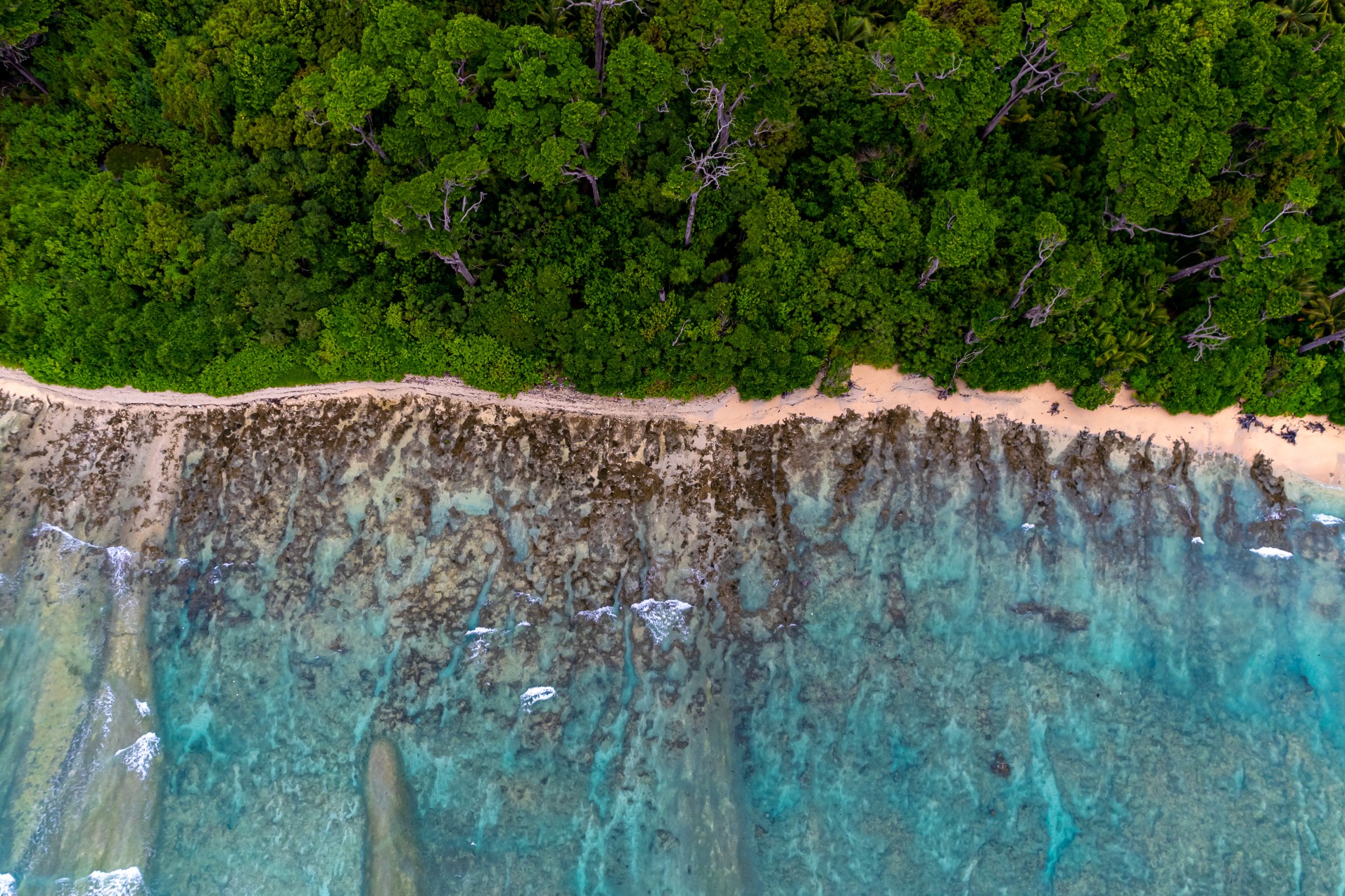 Remote tropical island with dense jungle and rocky coastline viewed from above