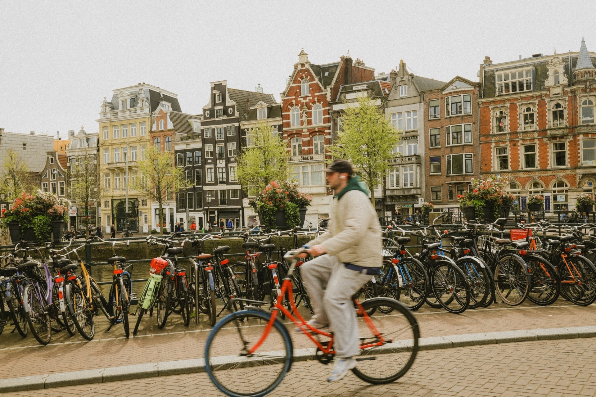 Dozens of bikes parked along the canals of Amsterdam.