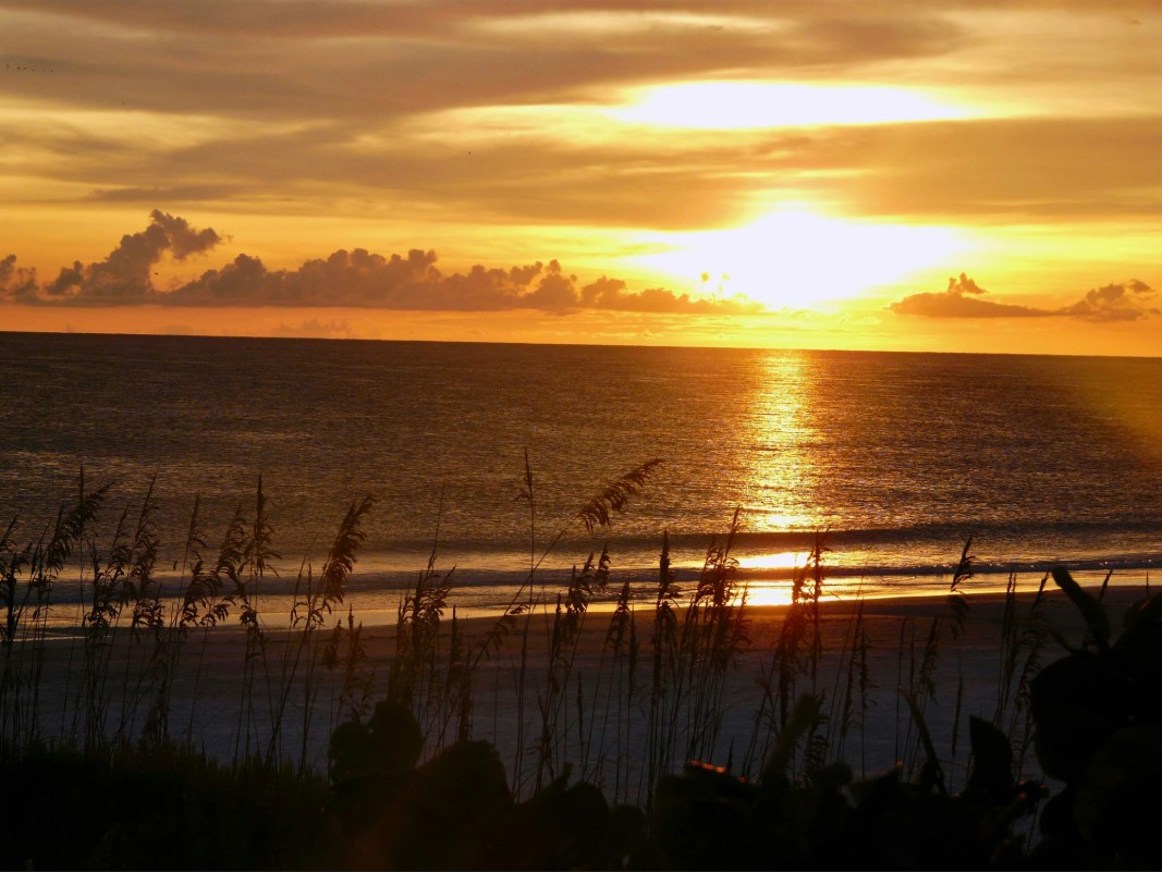 anna maria island