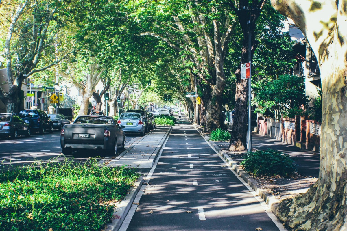 surry hills