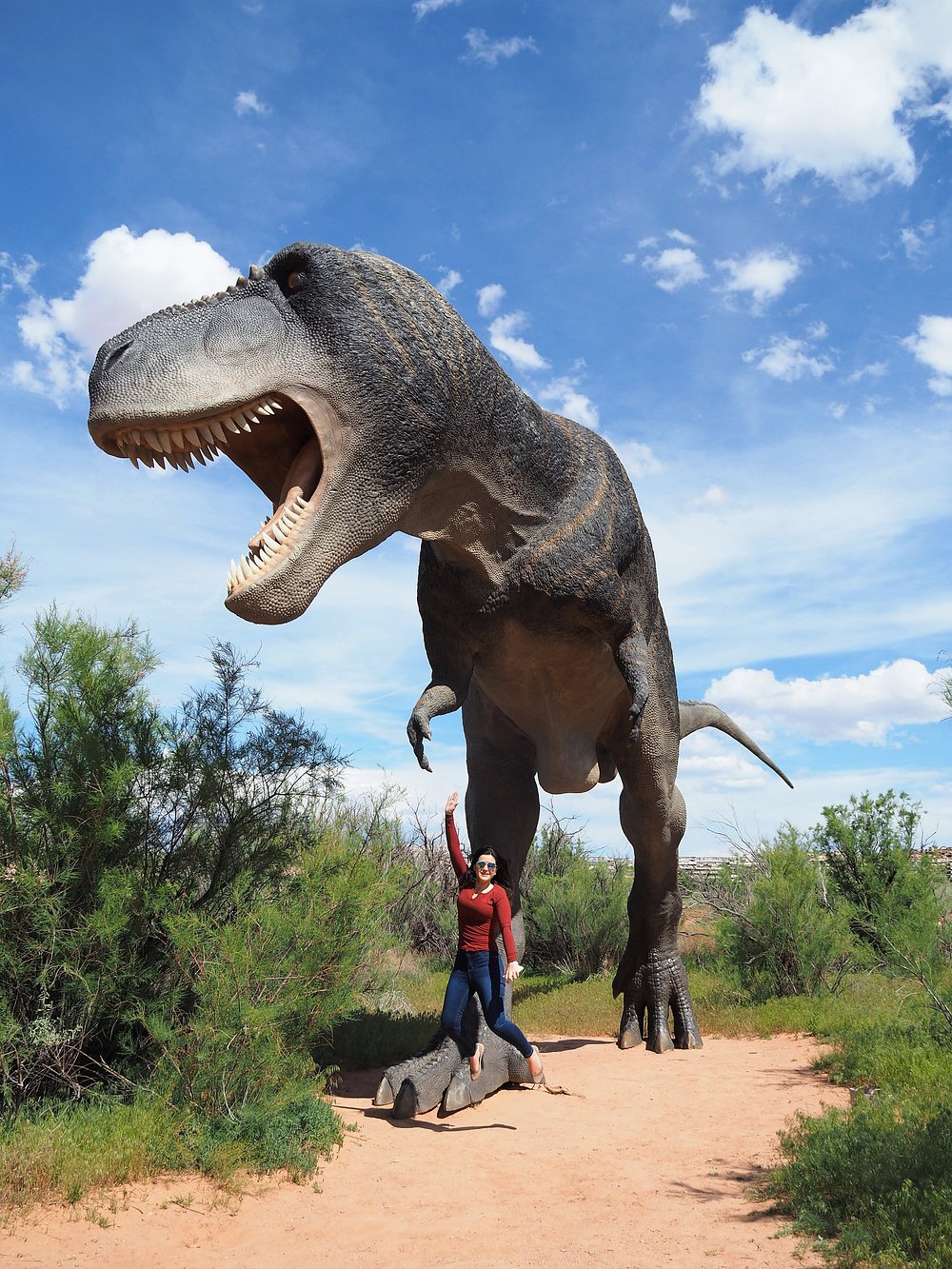 Traveler standing beneath giant Tyrannosaurus rex dinosaur exhibit in the American West
