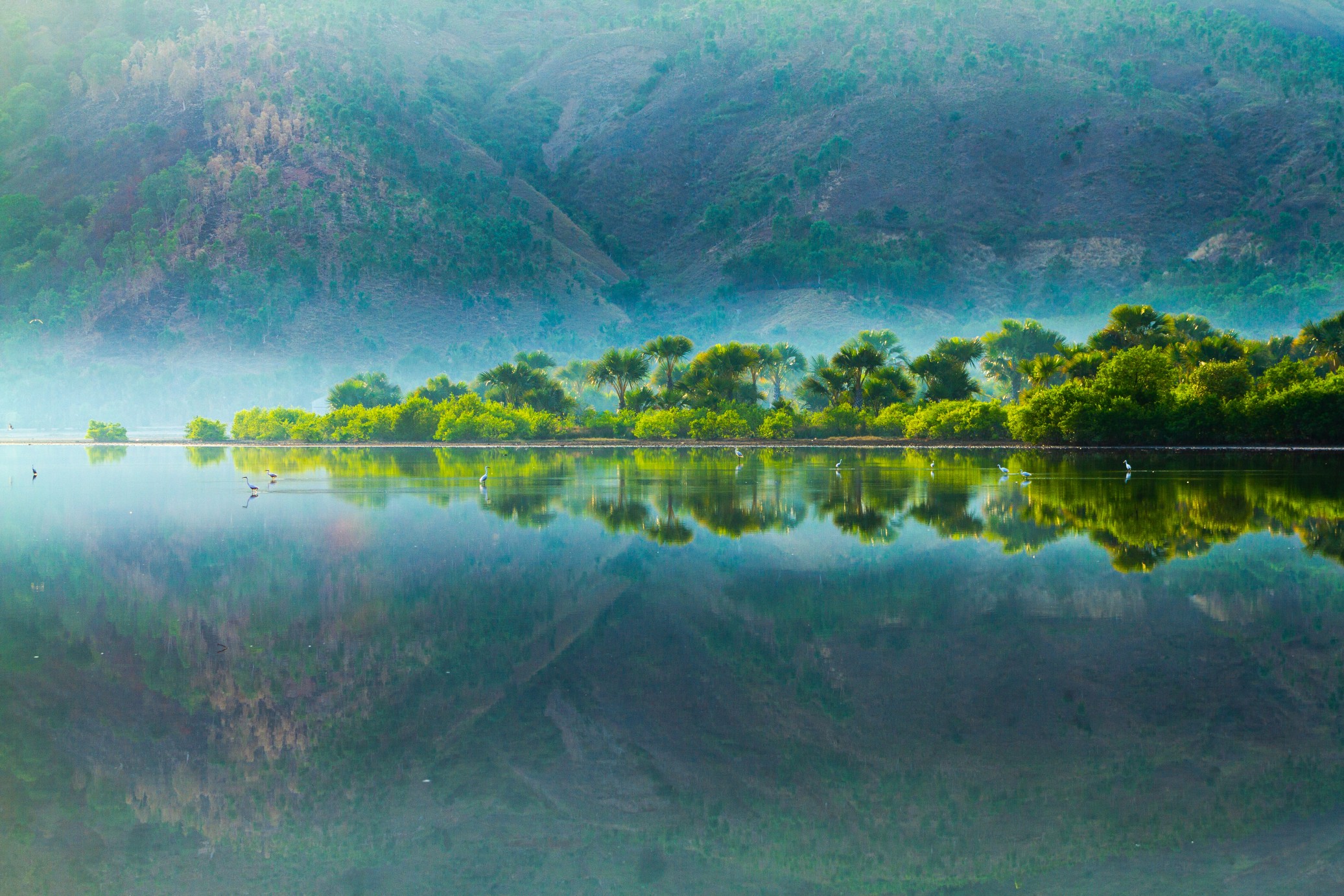 Peaceful wetland landscape in one of Asia's least visited countries surrounded by mountains and greenery